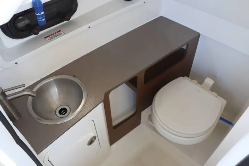 Slide: The Image of Sea Ray SDX 270 2021 - 28