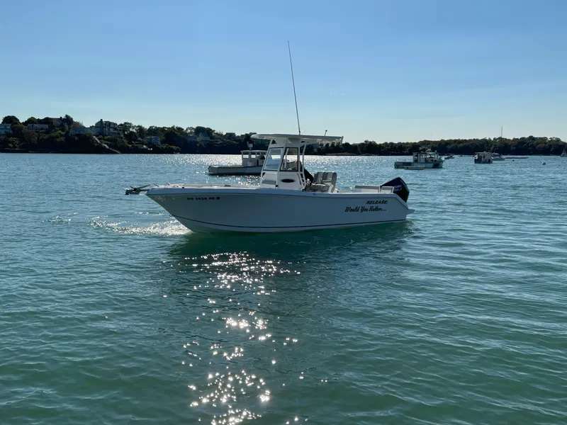 Slide: The Image of 2021 Release 240RX boat on calm water under clear sky. - 22