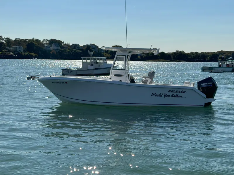 Slide: The Image of 2021 Release 240RX boat on calm water, sunny day, scenic background. - 7
