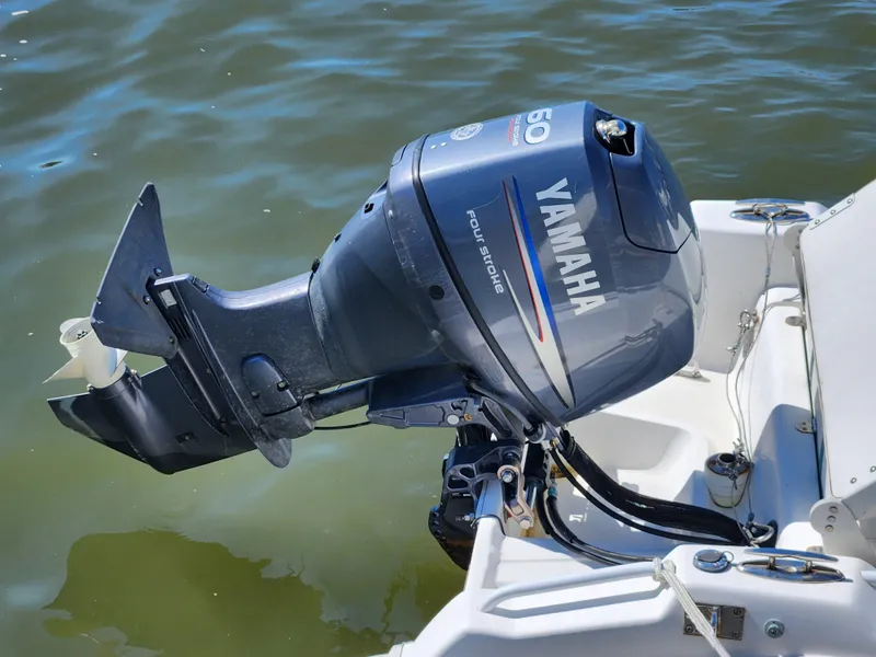 Slide: The Image of Posillipo Technema 52 1987 - 52