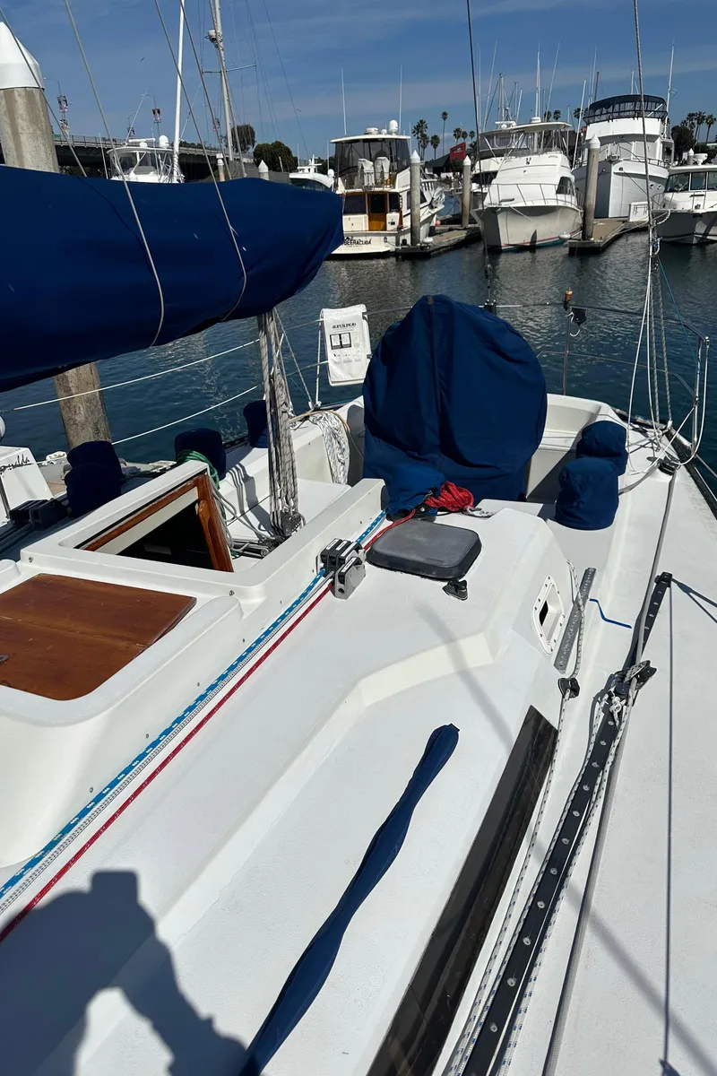 Slide: The Image of 1985 C&C 41 sailboat docked in marina, sunny day. - 17