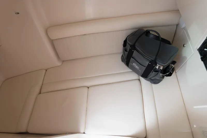 Slide: The Image of 2025 Grady-White Freedom 325 interior with cushioned seating and a gray bag. - 17