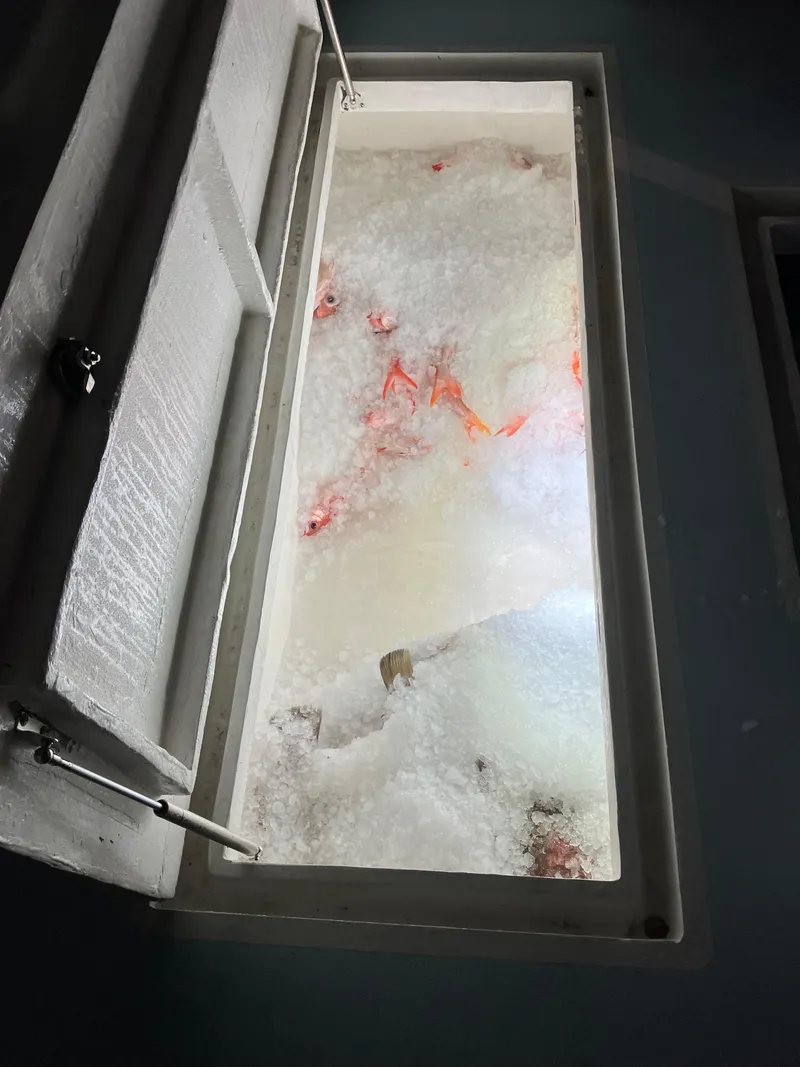 Slide: The Image of Ice-filled storage compartment on 2023 Millennium Marine NuWave Walkaround boat. - 29