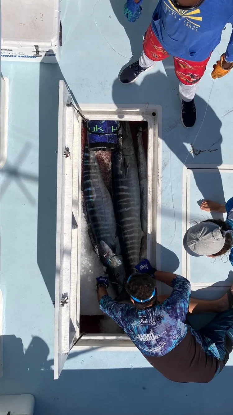 Slide: The Image of 2023 Millennium Marine NuWave Walkaround with large fish catch in storage compartment. - 30