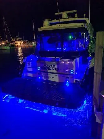 Slide: The Image of Four Winns V435 2009 - 69