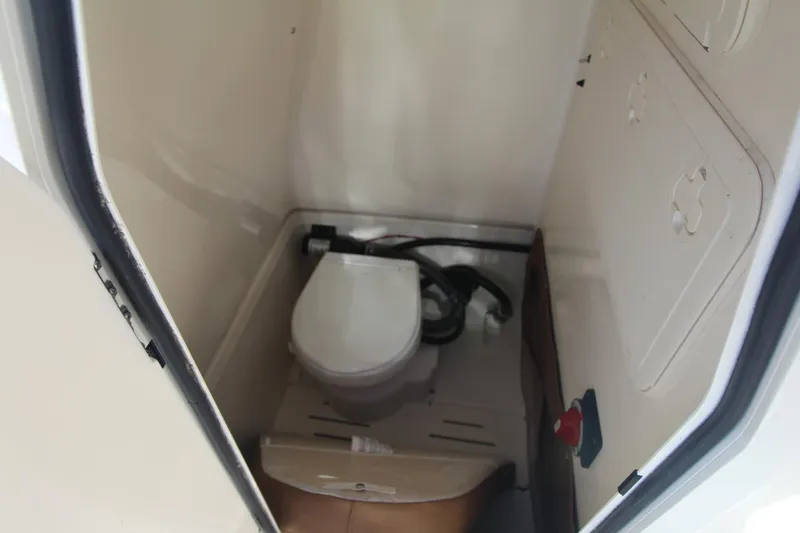 Slide: The Image of Pioneer 222 Islander 2024 - 11