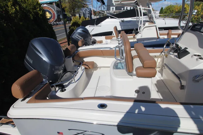 Slide: The Image of Pioneer 222 Islander 2024 - 9