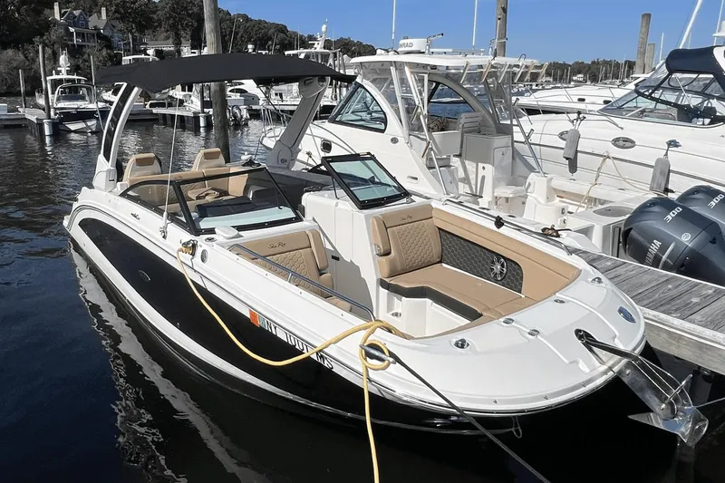 Slide: The Image of Sea Ray 290 SDX OB 2021 - 1