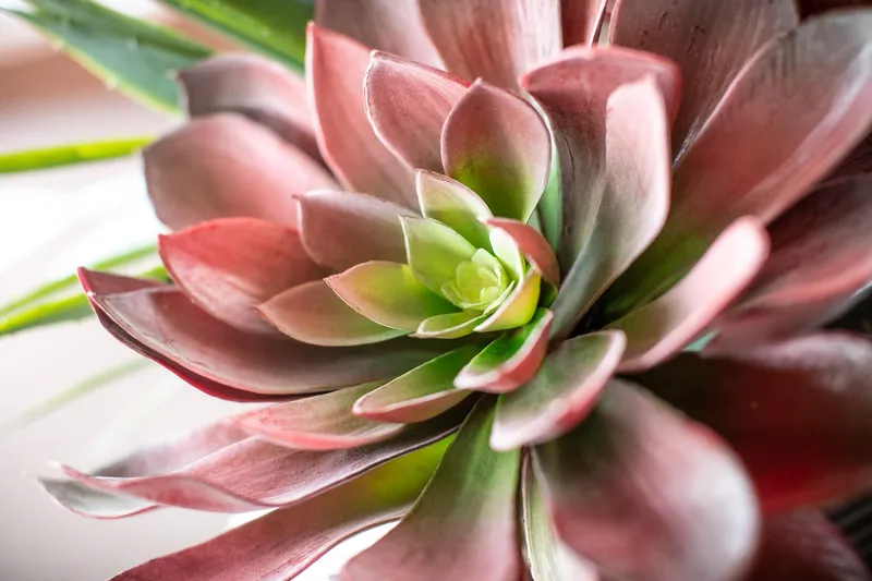 Slide: The Image of Azimut Flybridge Evolution 2012 - 99