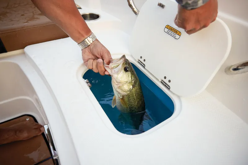 Slide: The Image of Tahoe 1950 2025 - 116