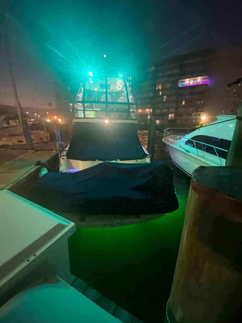 Slide: The Image of Sea Ray 52 Sedan Bridge 2007 - 77