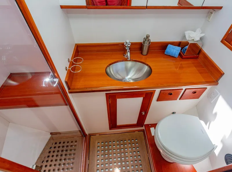 Slide: The Image of Owner's Head - 25