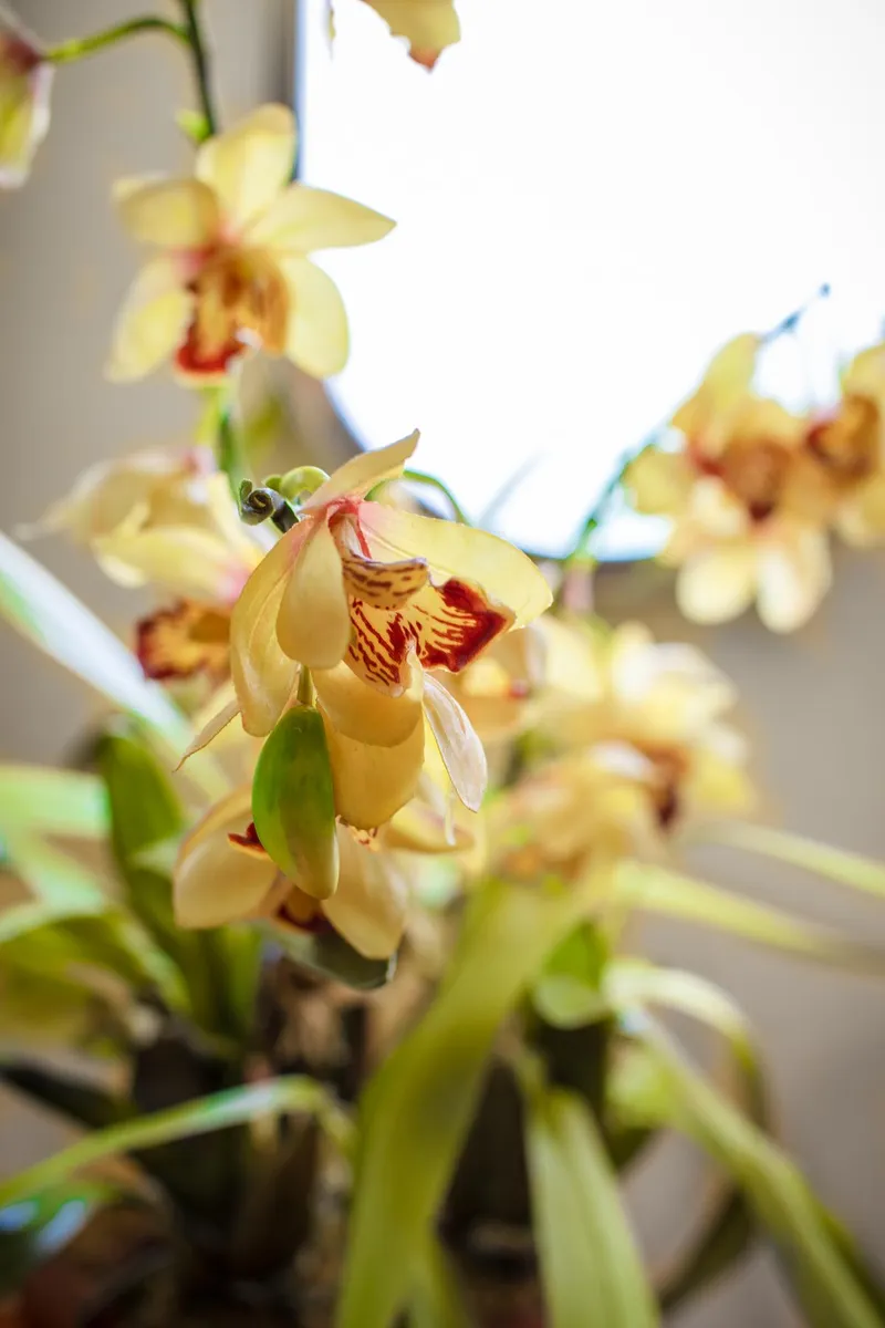 Slide: The Image of Azimut Evolution 2007 - 97