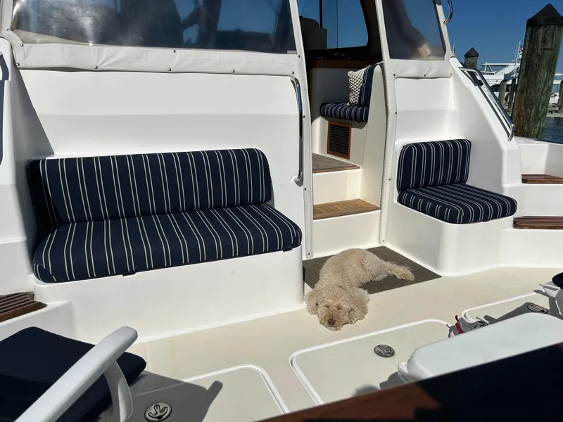 Slide: The Image of 2005 Sabre 42 Hardtop Express interior with striped seating and a dog relaxing on deck. - 36