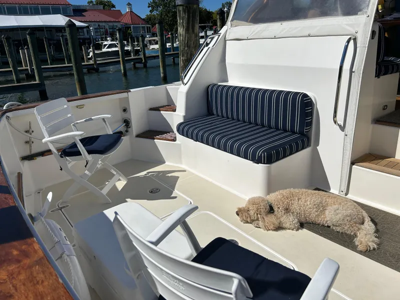 Slide: The Image of 2005 Sabre 42 Hardtop Express boat deck with seating and a dog lounging in the sun. - 37