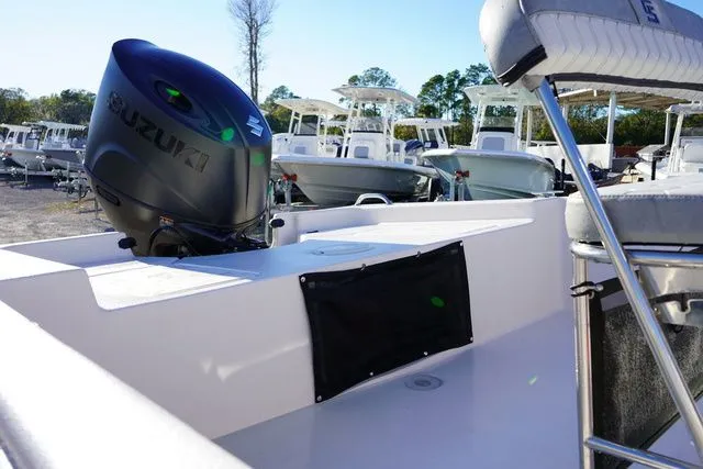 Slide: The Image of Carolina EV 218 2025 - 11