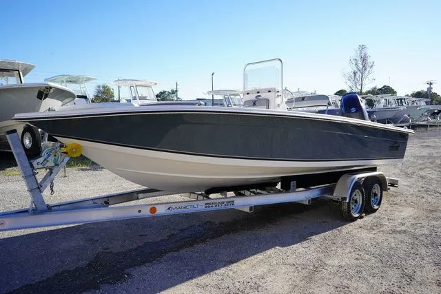 Slide: The Image of Carolina EV 218 2025 - 6