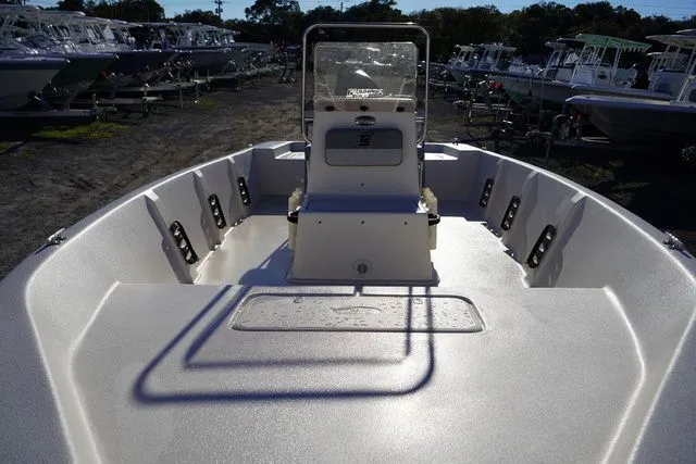 Slide: The Image of Carolina EV 218 2025 - 7