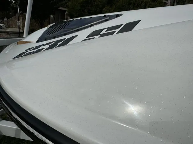 Slide: The Image of Sanger 231 SL 2025 - 35