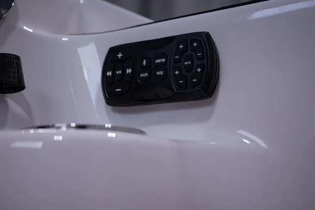 Slide: The Image of Yamaha 252SE 2025 - 20