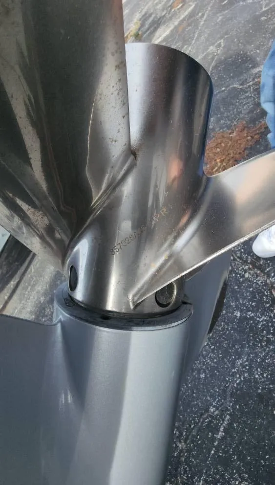 Slide: The Image of Mako 284 CC 2019 - 126