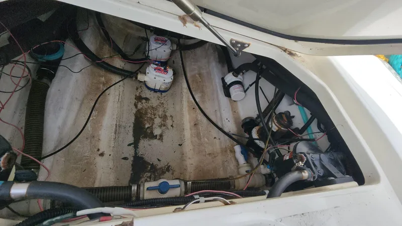 Slide: The Image of Mako 284 CC 2019 - 74