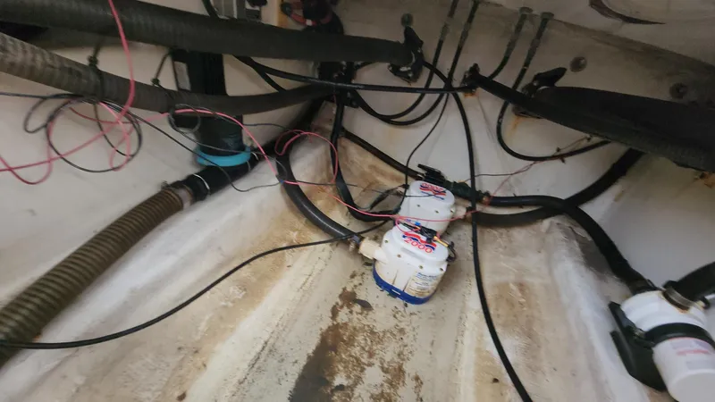 Slide: The Image of Mako 284 CC 2019 - 76