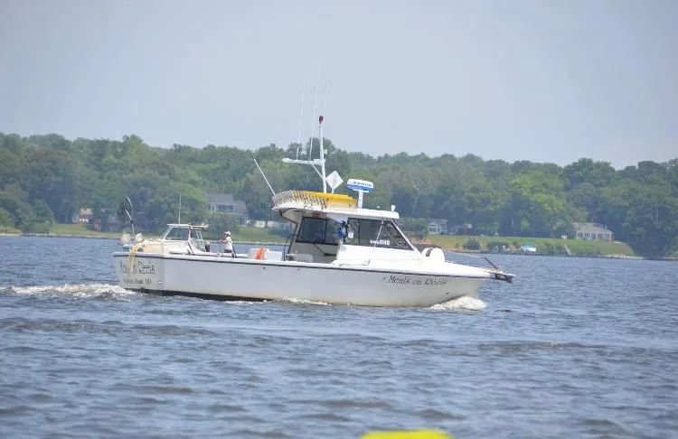 Slide: The Image of 1986 Island Hopper 30 boat cruising on a lake with forested shoreline. - 2