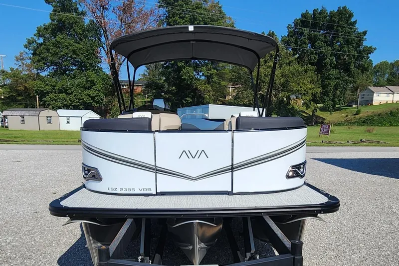 Slide: The Image of Avalon Platinum LSZ 2385 VRB 2025 - 2