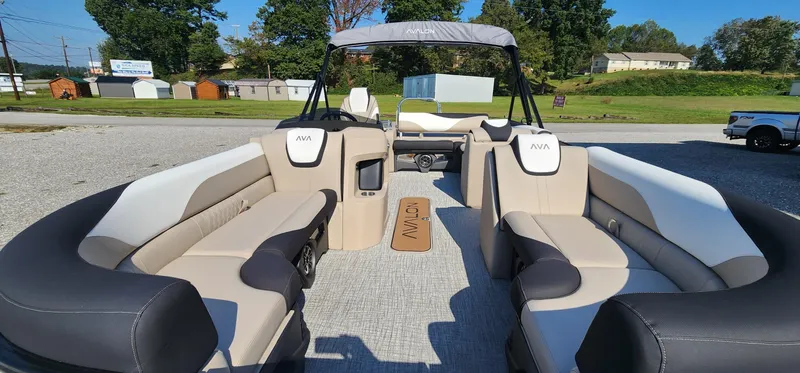 Slide: The Image of Avalon Platinum LSZ 2385 VRB 2025 - 4