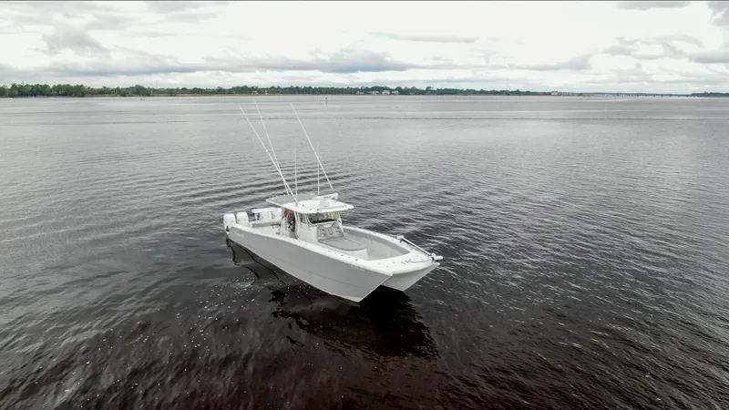 The Image of Freeman 42LR 2020 boat on calm water under cloudy sky. - 0