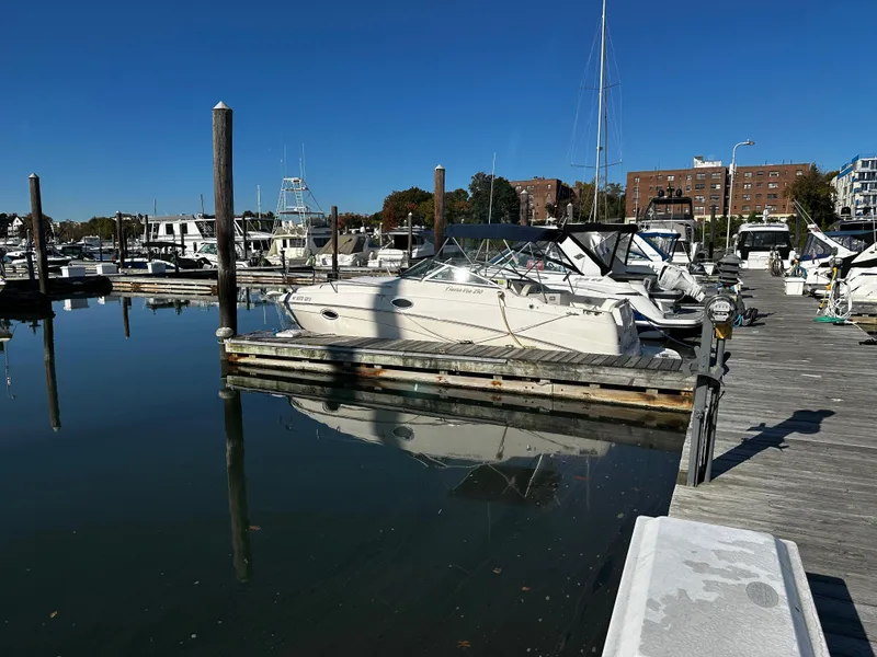 Slide: The Image of 2004 Rinker Fiesta Vee 250 docked at a marina under clear blue skies. - 17