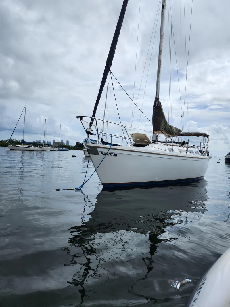 The Image of 1987 Catalina 36 sailboat anchored on calm water under cloudy skies. - 0