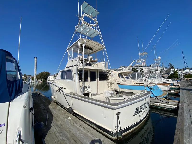 The Image of 1968 Hatteras 45 Convertible yacht docked at marina under clear blue sky. - 0