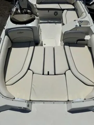 Slide: The Image of Stingray 192 SC 2024 - 6