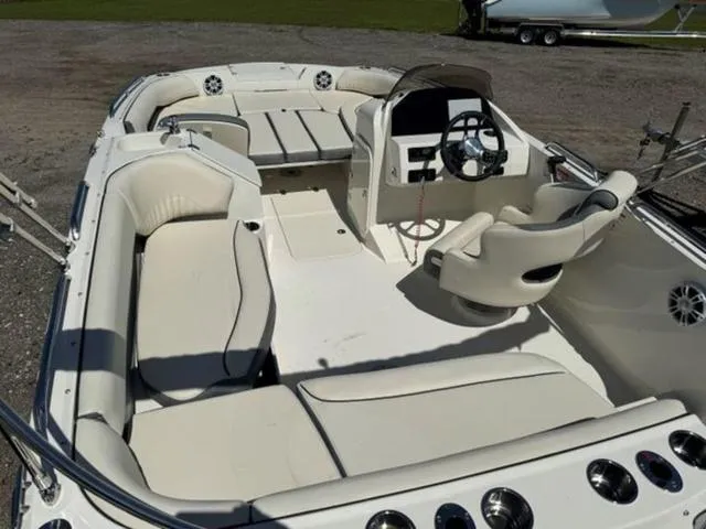 Slide: The Image of Stingray 192 SC 2024 - 8