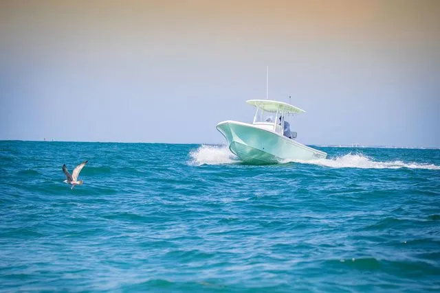 Slide: The Image of Parker Marine 2300 Special Edition 2026 - 12