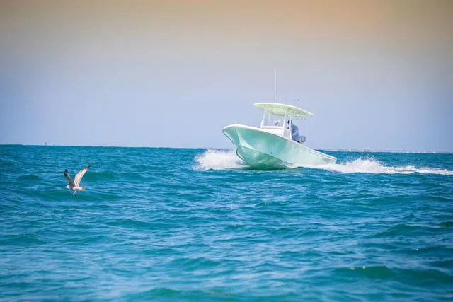 Slide: The Image of Parker Marine 2300 Special Edition 2025 - 10