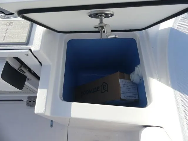 Slide: The Image of Blackfin 252CC 2025 - 17