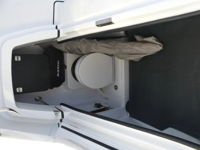 Slide: The Image of Blackfin 252CC 2025 - 32