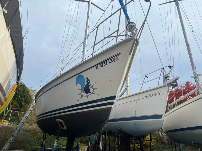 Slide: The Image of 1987 Pearson 31-2 sailboat on stands, side view, with blue and white hull design. - 31