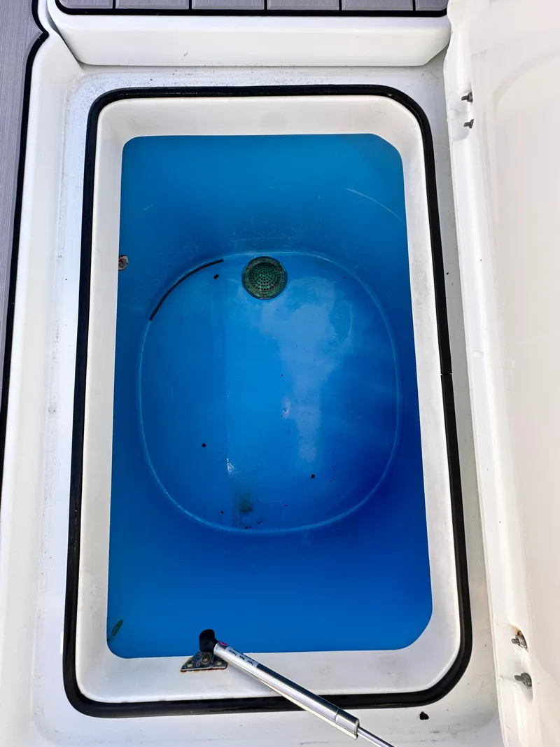 Slide: The Image of Freeman 37VH 2016 - 50