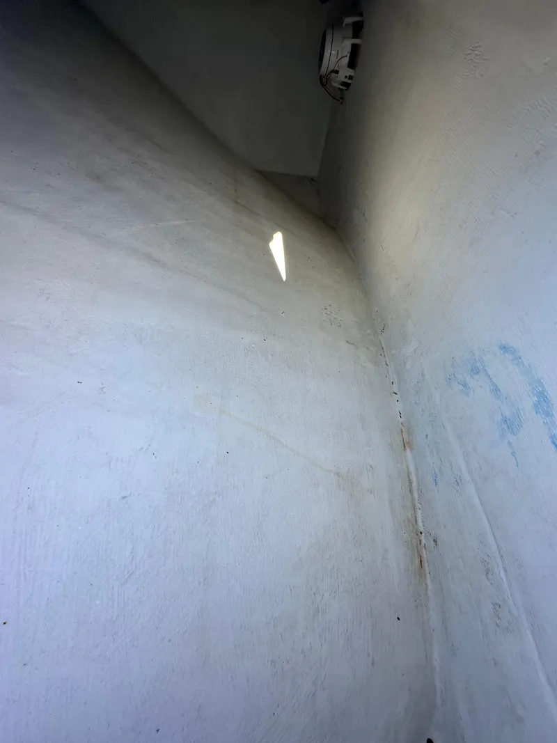 Slide: The Image of Freeman 37VH 2016 - 53