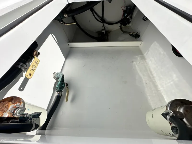 Slide: The Image of Freeman 37VH 2016 - 55