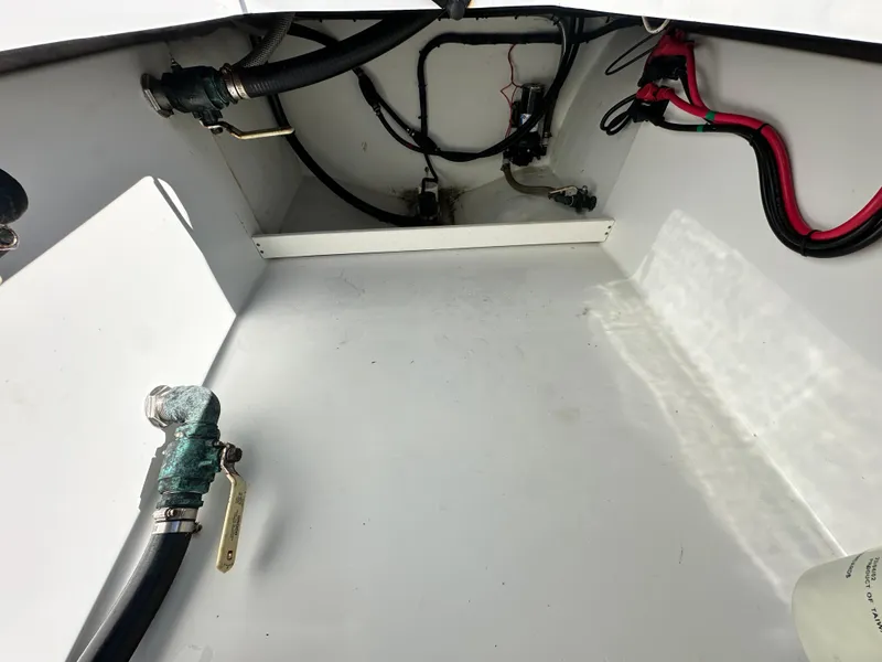 Slide: The Image of Freeman 37VH 2016 - 56