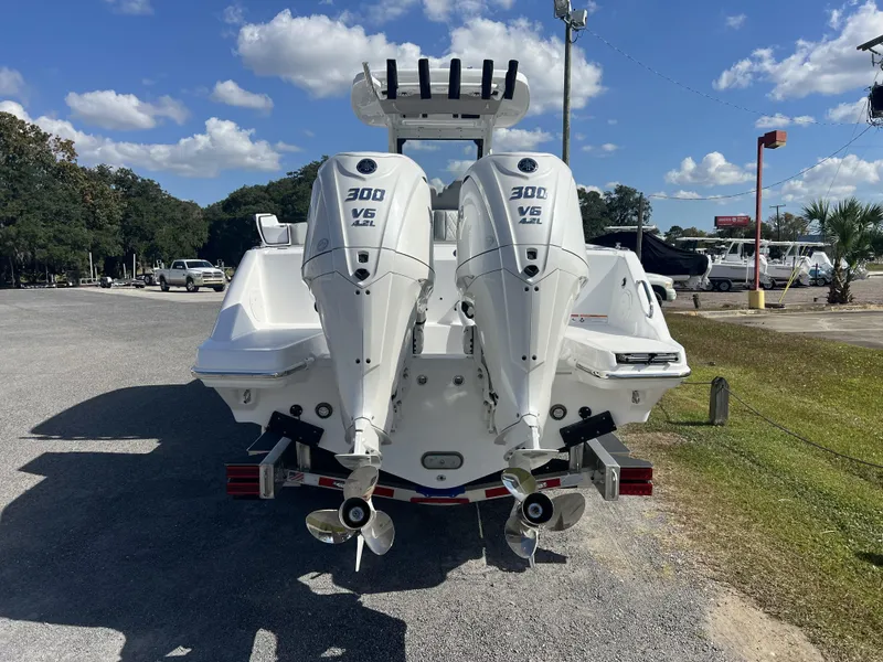 Slide: The Image of Everglades 285 CC 2025 - 10