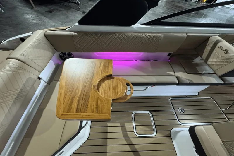 Slide: The Image of Sea Ray SDX 270 2025 - 19