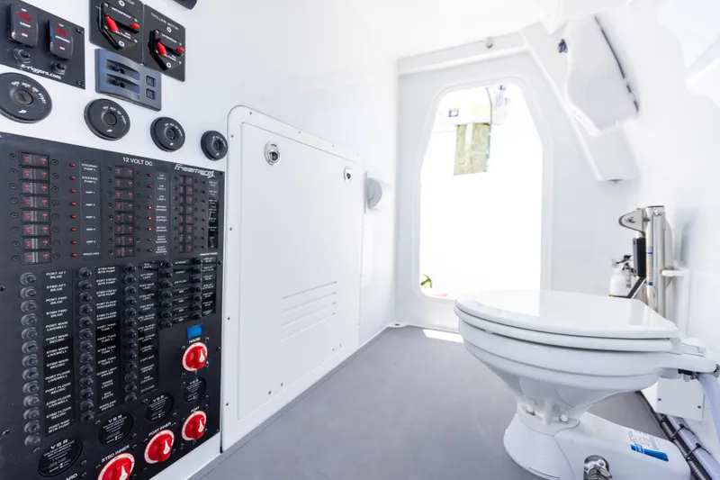 Slide: The Image of Freeman 43 2023 - 52