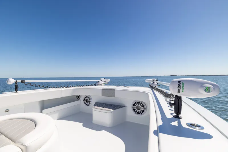 Slide: The Image of Freeman 43 2023 - 58