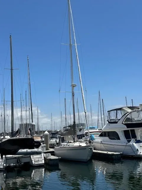 Slide: The Image of CAL 39 MK II Tall Rig sailboat docked, 1979 model. - 6